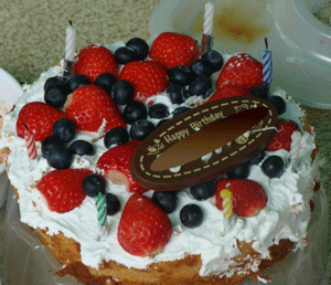 b0176027_1136636.gif