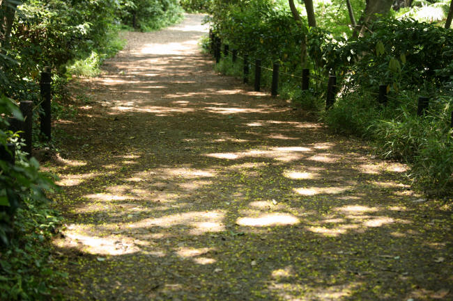 f0017530_20251411.jpg