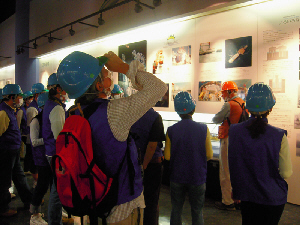 d0017632_71487.jpg