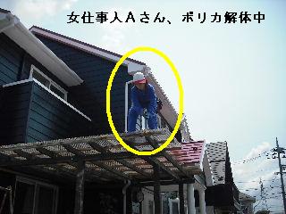 ウッドデッキが~~~♪_f0031037_2139656.jpg