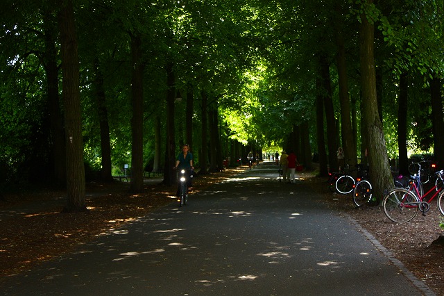 c0153740_34157.jpg
