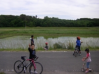 a0023043_1742141.jpg