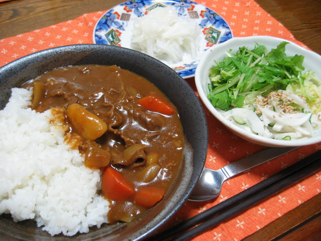 カレーの早業 カレーライス サラダ他 おいしく 楽しく 我が家の 晩 ご飯日記