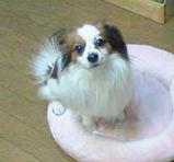 同居人?_e0159249_1181940.jpg