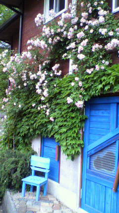 c0147952_22343029.jpg