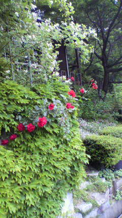 c0147952_22345858.jpg