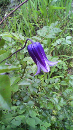 c0147952_22352897.jpg