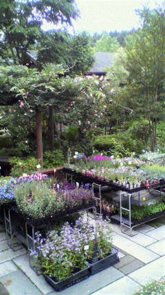 c0147952_22355268.jpg