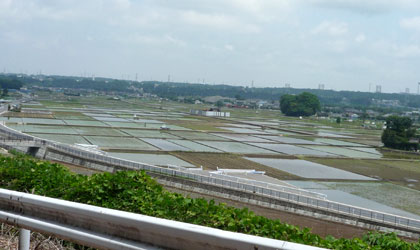 田植えシーズン。_c0039153_22564133.jpg