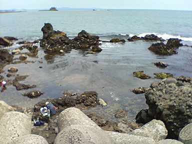 a0096557_14151186.jpg