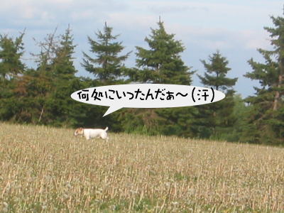 b0105157_20223788.jpg