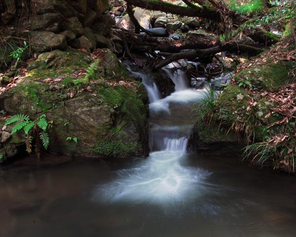 e0035757_2110134.jpg