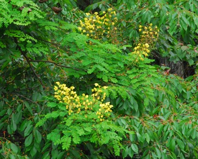 e0035757_211245.jpg