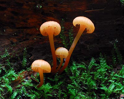 e0035757_2141959.jpg