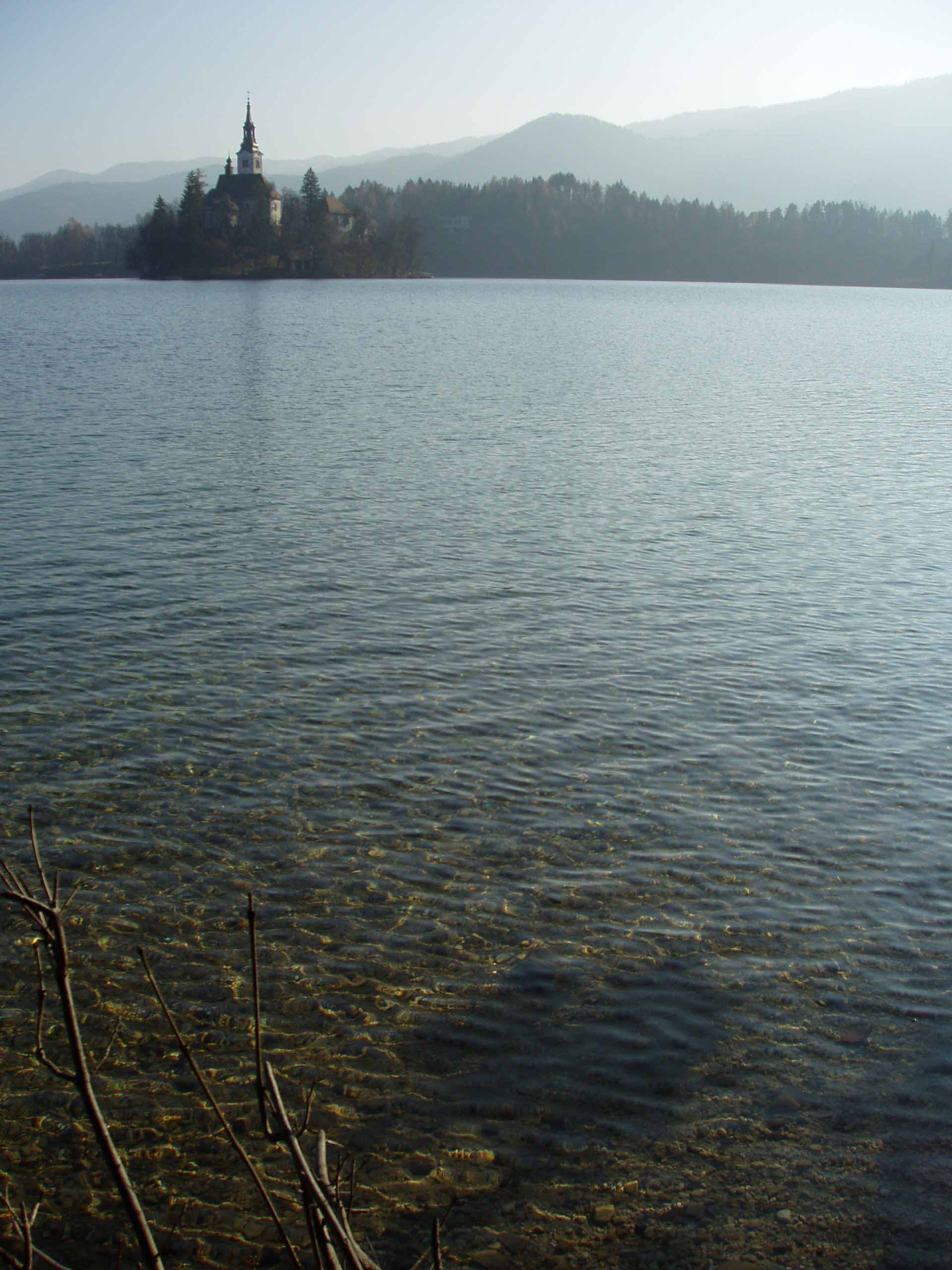 f0196757_755989.jpg