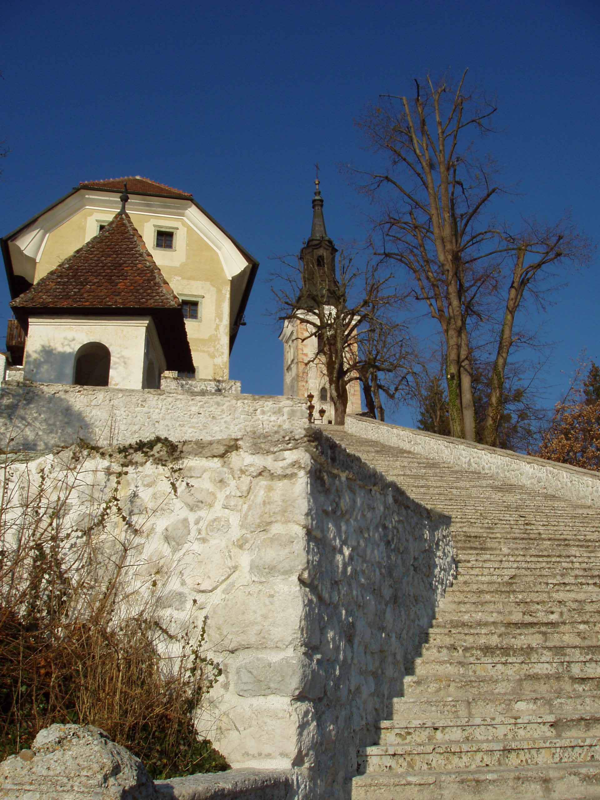 f0196757_785177.jpg