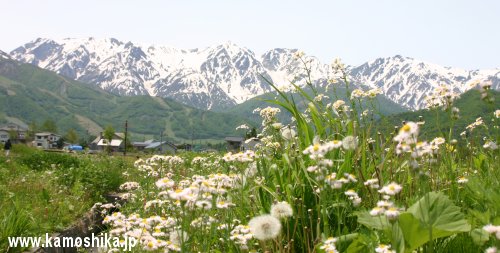 ゆったり、白馬の風景_d0066560_1944022.jpg