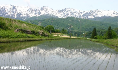 ゆったり、白馬の風景_d0066560_19445693.jpg