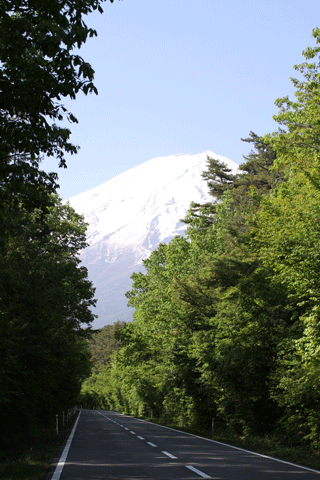 f0107364_9491572.gif
