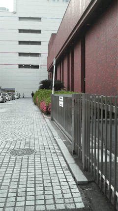 c0127670_13314915.gif