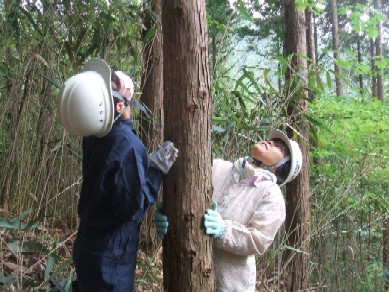 f0000771_8252758.jpg