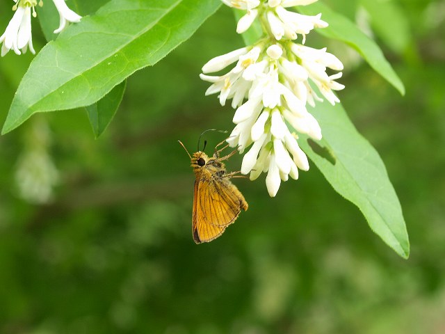 b0135573_1205363.jpg