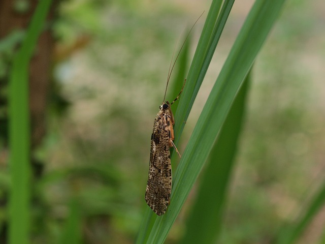 牧山牧水の生家_b0135573_5574058.jpg