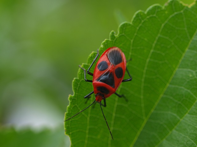 牧山牧水の生家_b0135573_635951.jpg