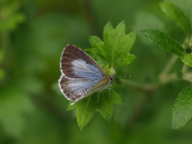 牧山牧水の生家_b0135573_642785.jpg