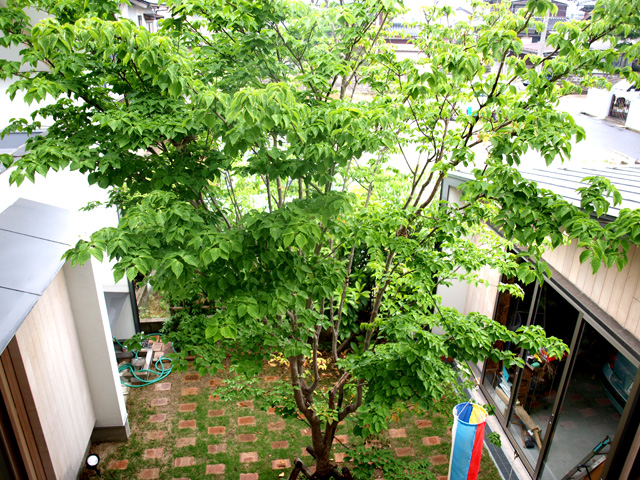鳥の巣&開花だより!_d0141173_04461.jpg