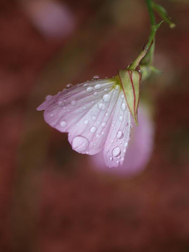 雨の日_e0163074_1435383.jpg