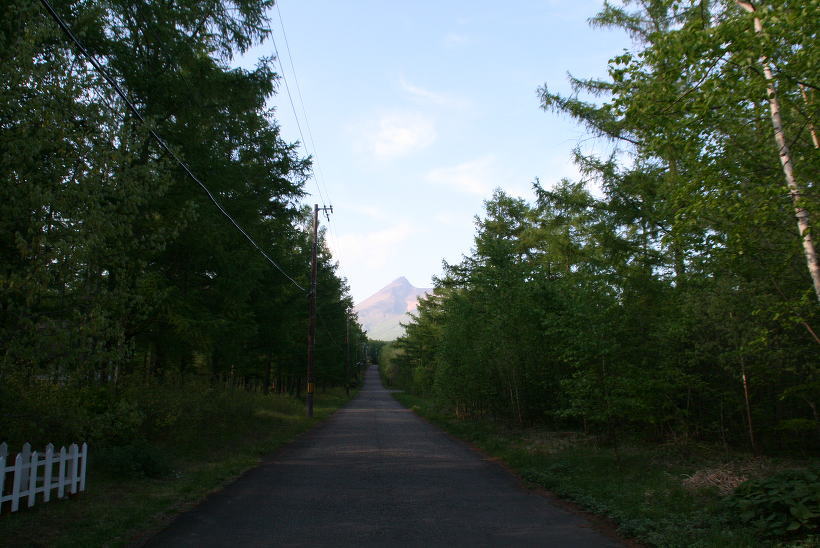 赤井川にて　駒ケ岳への道_c0112479_22412876.jpg