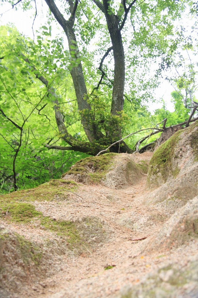 e0024081_135349.jpg