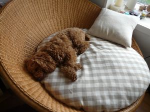 2009年5月23日 一部開通な~んてね_b0098584_856259.jpg
