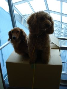 2009年5月23日 一部開通な~んてね_b0098584_8564574.jpg