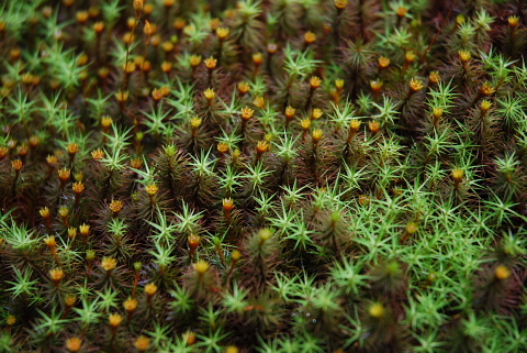 f0080385_22474727.jpg