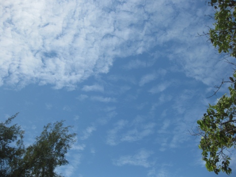 f0195286_16579.jpg