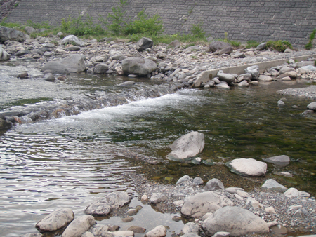 b0178889_1126249.jpg