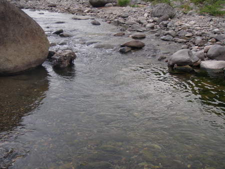 b0178889_11322797.jpg