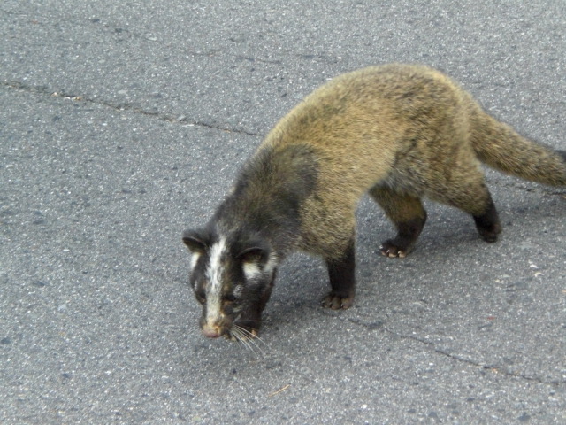 c0099395_12122786.jpg