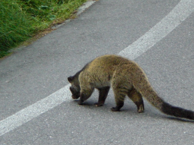 c0099395_12123399.jpg