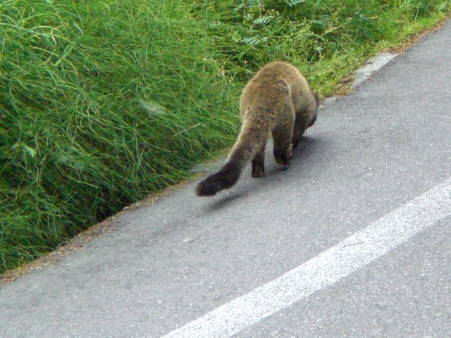 c0099395_12124886.jpg