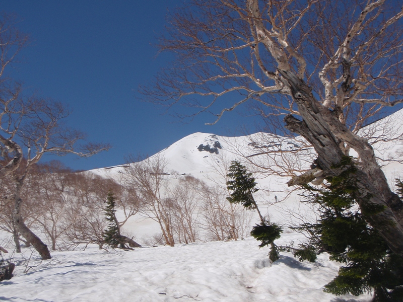 c0147398_2358108.jpg