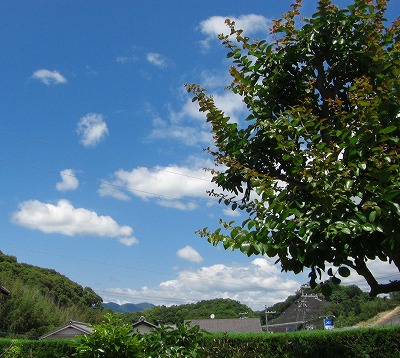 c0125501_1211580.jpg