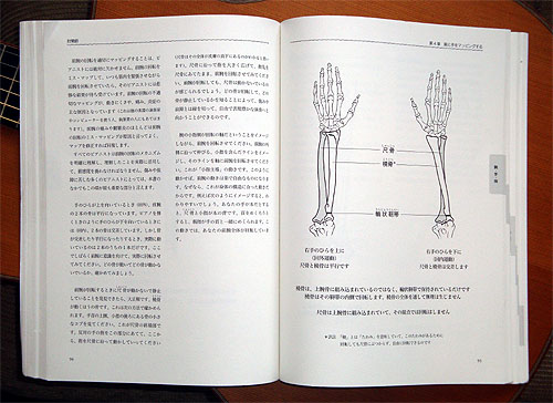 腕が回転する仕組み　（アレクサンダー・テクニーク　その３）_c0137404_102752.jpg