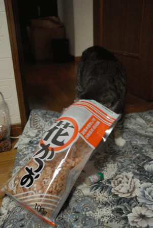 e0018604_2072286.gif
