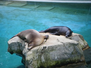 動物園　続き_f0203806_2119432.jpg