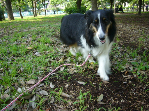 e0130008_2273823.jpg