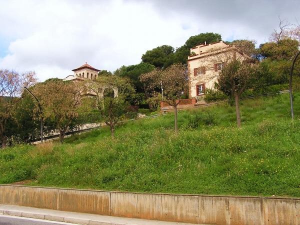 b0064411_69030.jpg