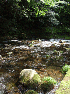 b0176111_2304745.gif
